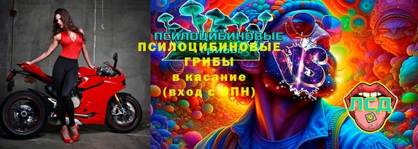 ГАЛЛЮЦИНОГЕННЫЕ ГРИБЫ Баксан