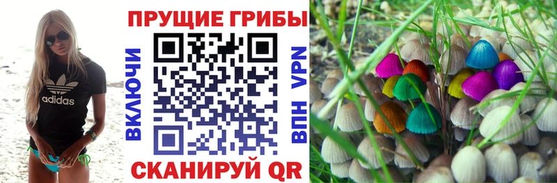 дарнет шоп  Чекалин  Псилоцибиновые грибы ЛСД 